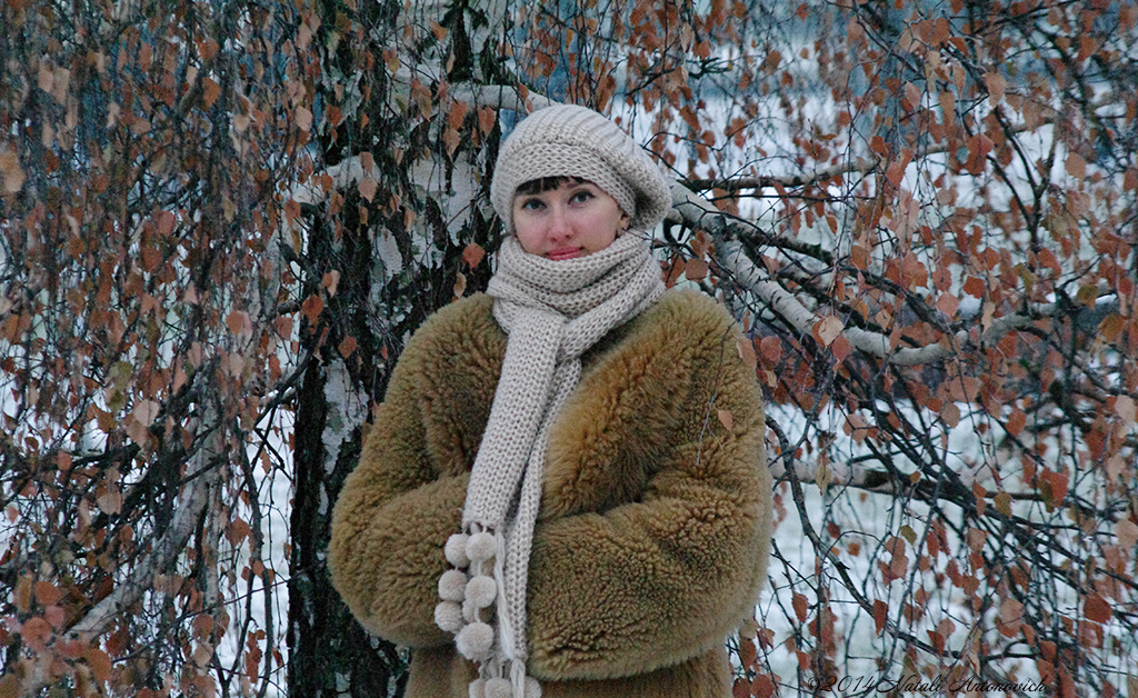 Album "Bild ohne Titel" | Fotografiebild "Winter. Weihnachtsferien" von Natali Antonovich im Sammlung/Foto Lager.
