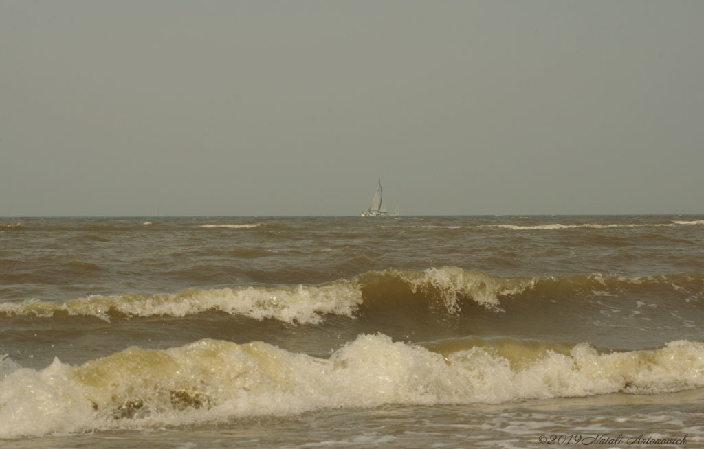 Album "Afbeelding zonder titel" | Fotografie afbeelding "Belgische Kust" door Natali Antonovich in Archief/Foto Voorraad.