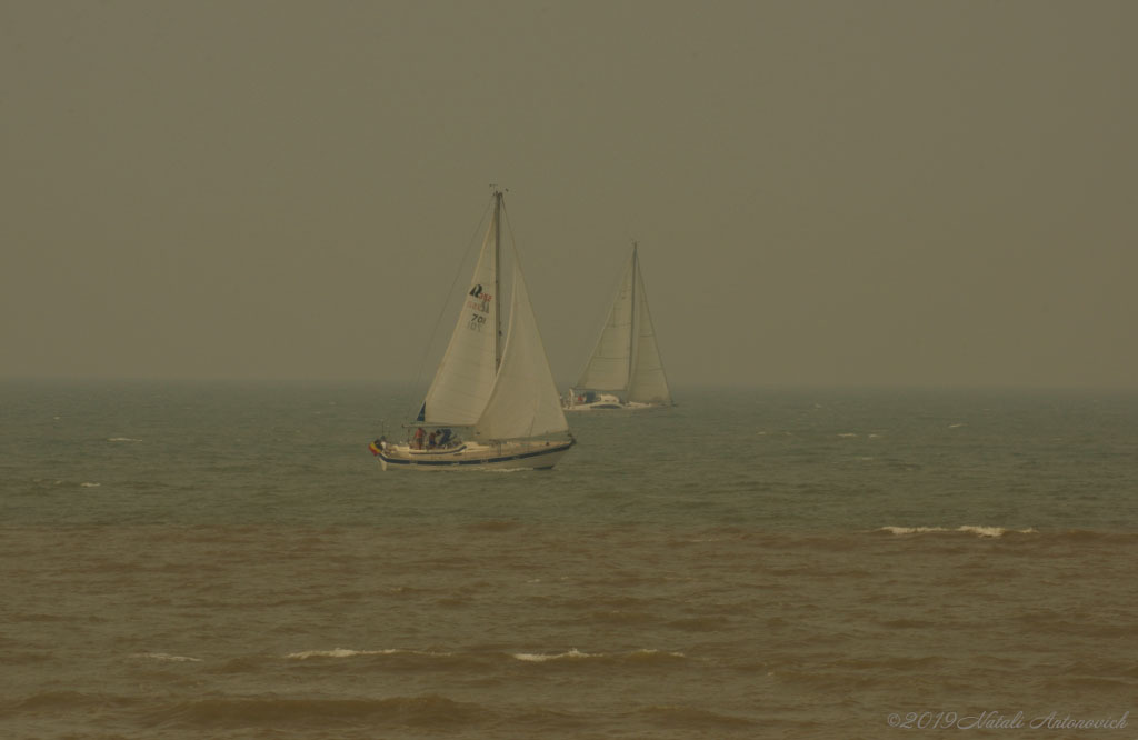 Photography image "Image without title" by Natali Antonovich | Photostock.
