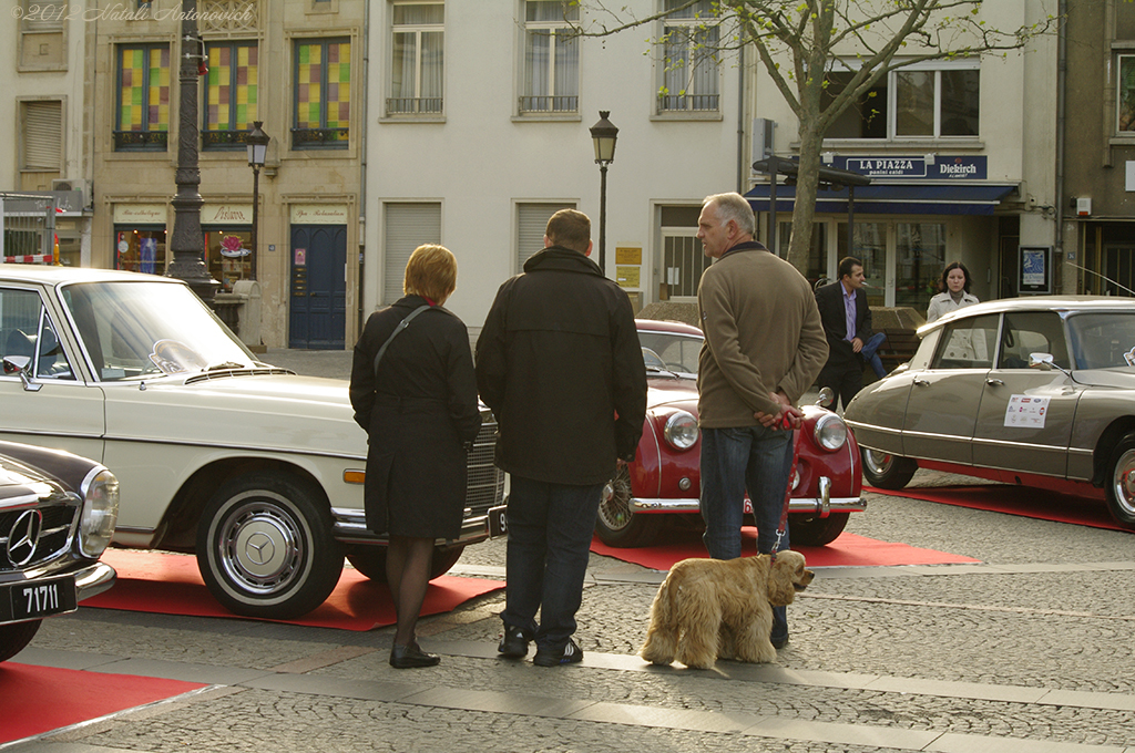 Album "Afbeelding zonder titel" | Fotografie afbeelding "Wagens" door Natali Antonovich in Archief/Foto Voorraad.