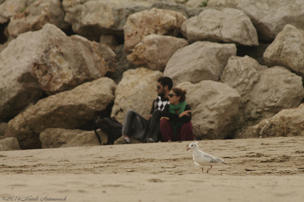 Album "Image sans titre" | Image de photographie "Sitges. Catalogne. Espagne" de Natali Antonovich en photostock.