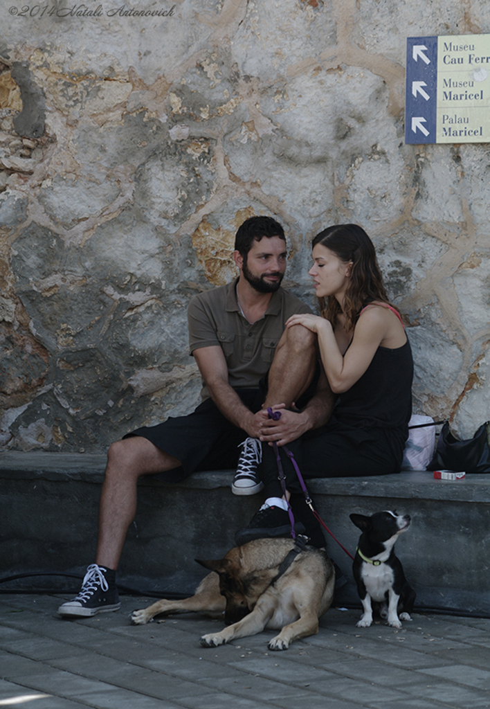 Album "Afbeelding zonder titel" | Fotografie afbeelding "Sitges. Catalonië. Spanje" door Natali Antonovich in Archief/Foto Voorraad.