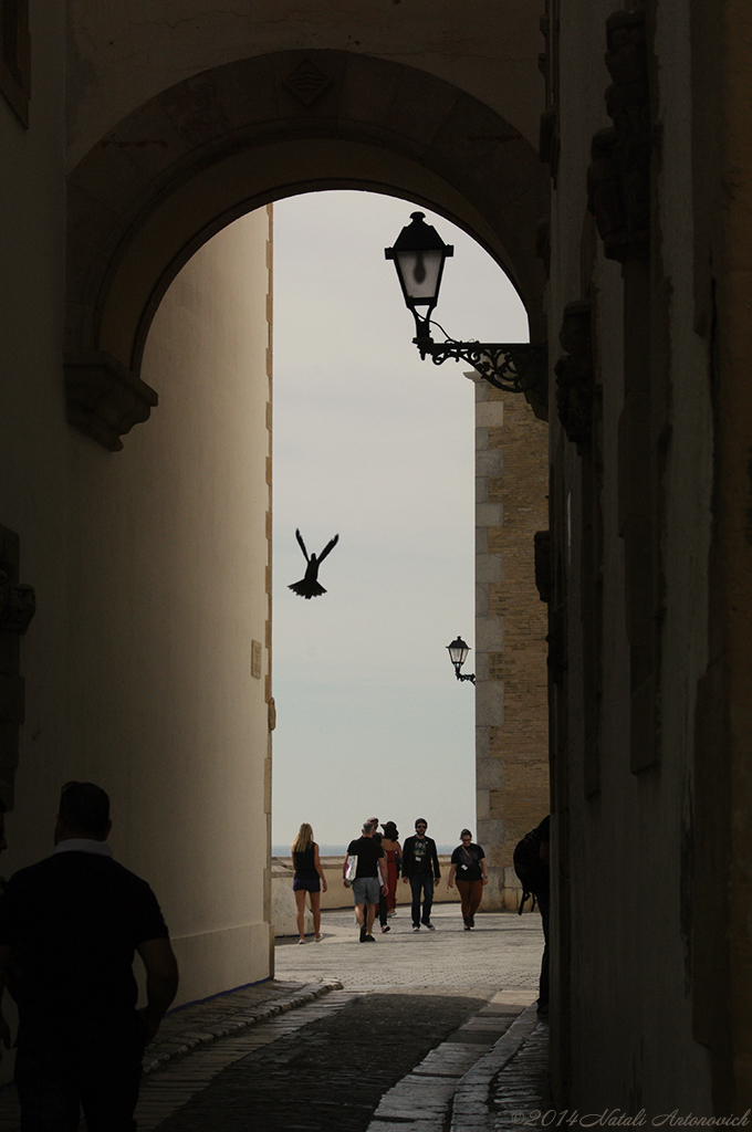 Album "Afbeelding zonder titel" | Fotografie afbeelding "Sitges. Catalonië. Spanje" door Natali Antonovich in Archief/Foto Voorraad.