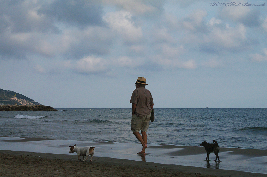 Album "Bild ohne Titel" | Fotografiebild "Sitges. Katalonien. Spanien" von Natali Antonovich im Sammlung/Foto Lager.