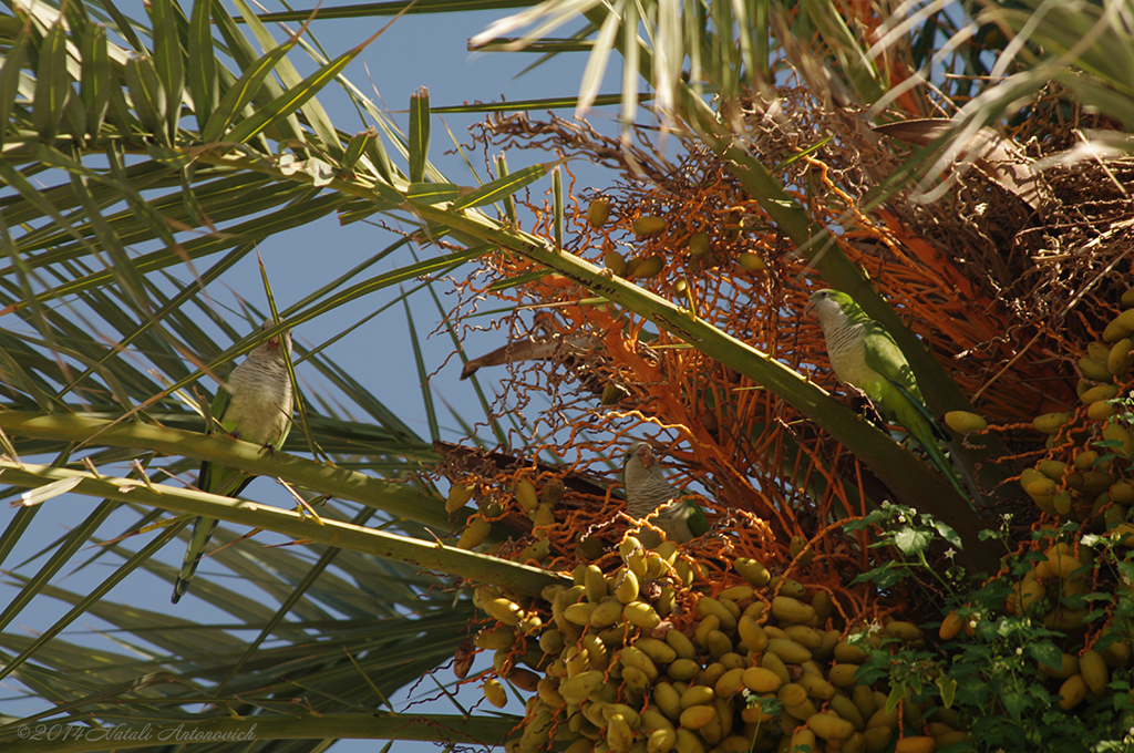 Album  "Image without title" | Photography image "Sitges. Catalonia. Spain" by Natali Antonovich in Photostock.