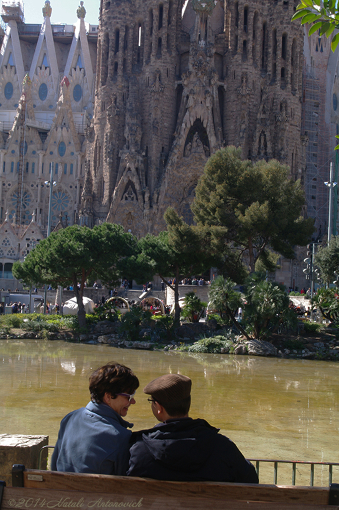 Album "Afbeelding zonder titel" | Fotografie afbeelding " Barcelona" door Natali Antonovich in Archief/Foto Voorraad.