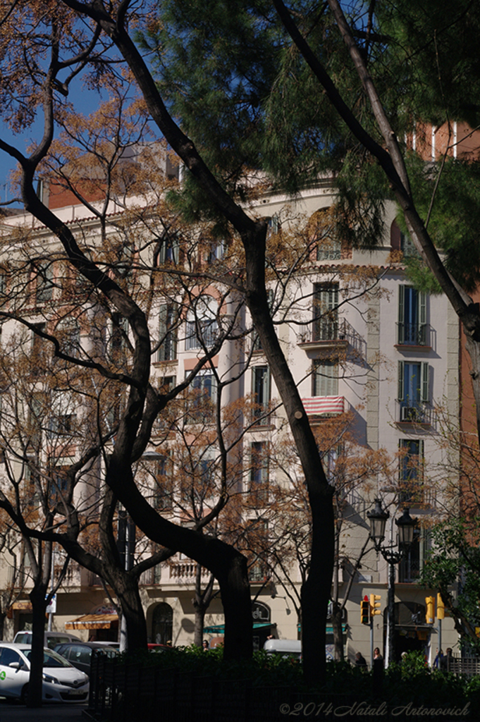 Album "Afbeelding zonder titel" | Fotografie afbeelding " Barcelona" door Natali Antonovich in Archief/Foto Voorraad.