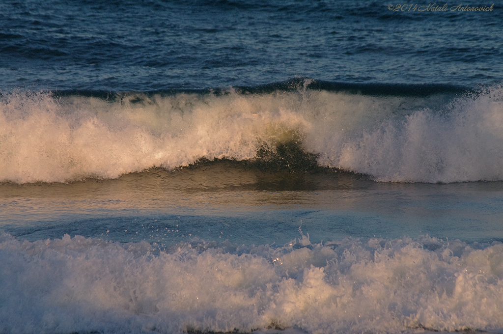 Album  "Image without title" | Photography image "Water Gravitation" by Natali Antonovich in Photostock.