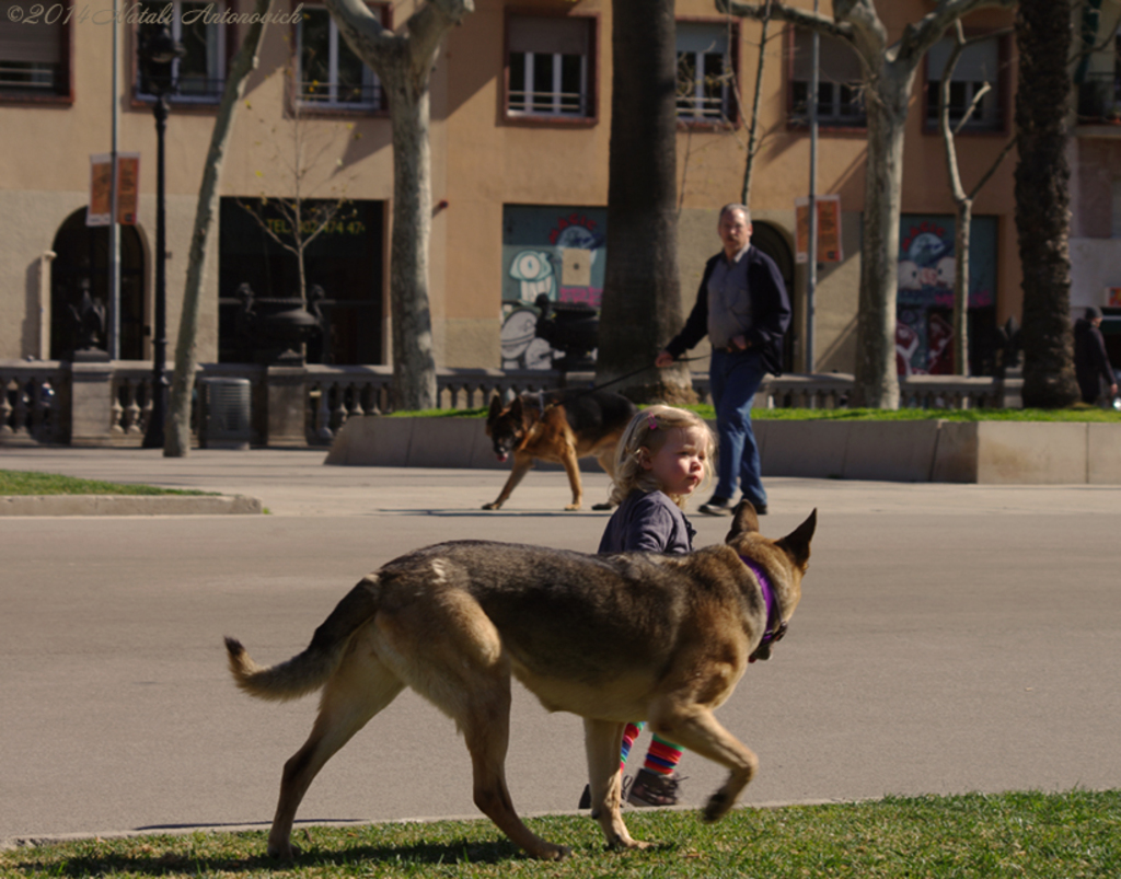 Album  "Image without title" | Photography image " Barcelona" by Natali Antonovich in Photostock.