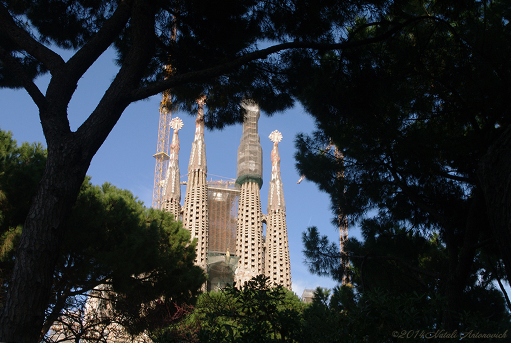 Album "Afbeelding zonder titel" | Fotografie afbeelding " Barcelona" door Natali Antonovich in Archief/Foto Voorraad.