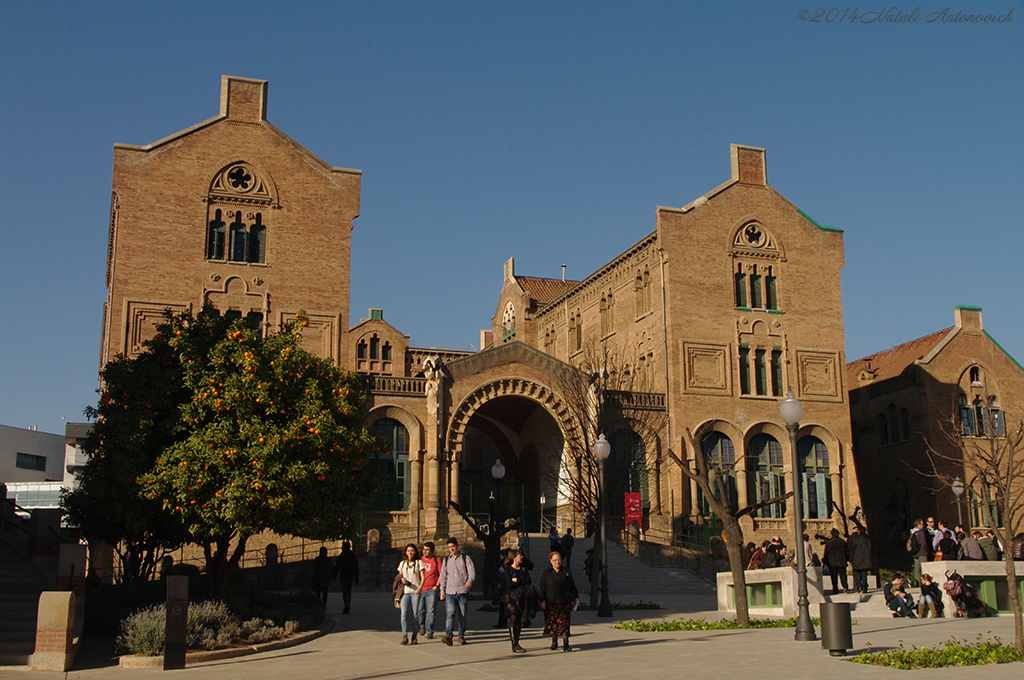 Album "Afbeelding zonder titel" | Fotografie afbeelding " Barcelona" door Natali Antonovich in Archief/Foto Voorraad.