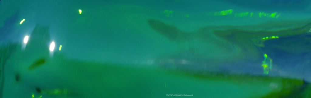 Image de photographie "Image sans titre" de Natali Antonovich | Photostock.