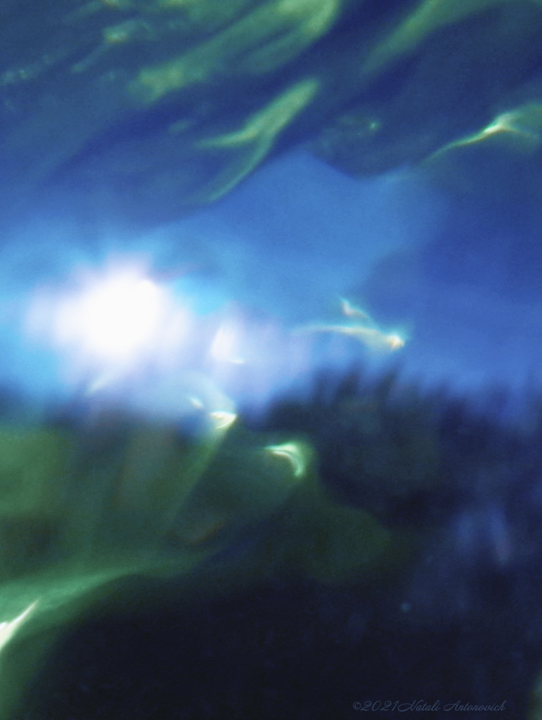 Альбом "Изображение без названия" | Фотография "Water Gravitation" от Натали Антонович в Архиве/Банке Фотографий