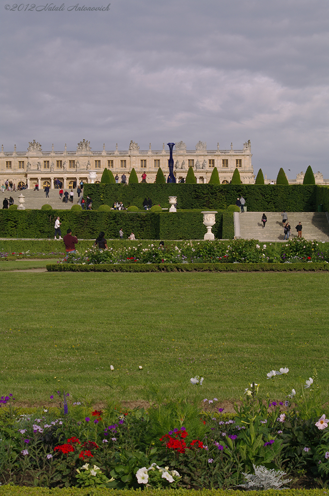Album "Versailles" | Fotografiebild "Versailles" von Natali Antonovich im Sammlung/Foto Lager.