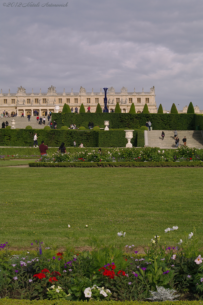 Album "Versailles" | Fotografiebild "Frankreich" von Natali Antonovich im Sammlung/Foto Lager.