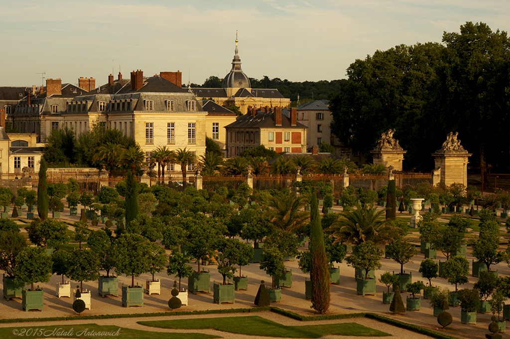 Album "Versailles" | Fotografiebild "Versailles" von Natali Antonovich im Sammlung/Foto Lager.