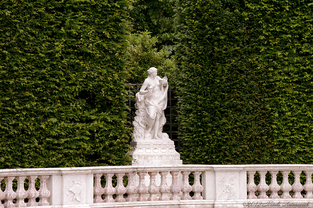 Album "Versailles" | Fotografiebild "Frankreich" von Natali Antonovich im Sammlung/Foto Lager.