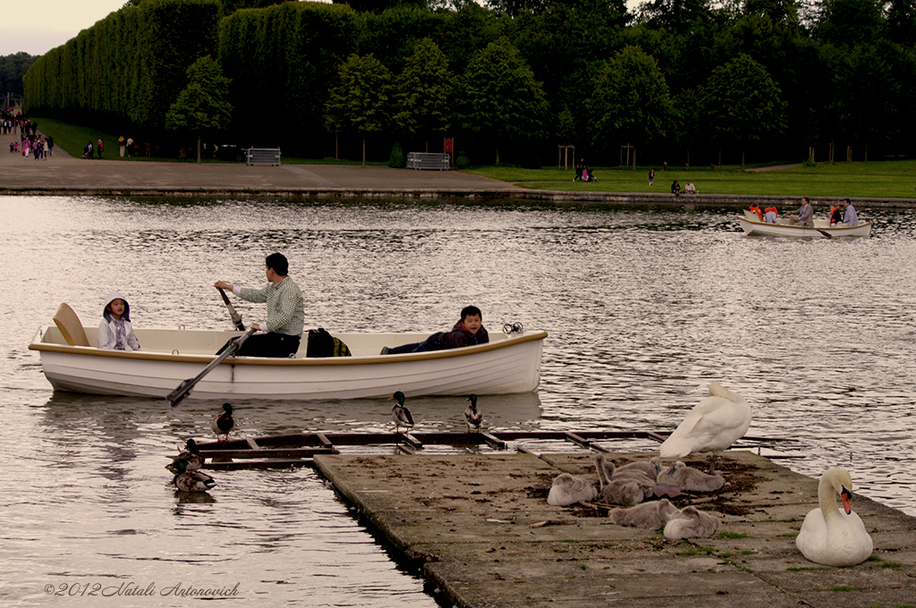 Album "Versailles" | Image de photographie "Water Gravitation" de Natali Antonovich en photostock.