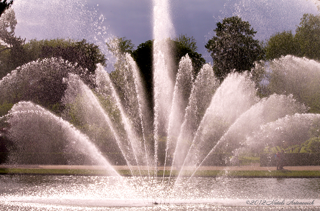 Album "Versailles" | Fotografiebild "Water Gravitation" von Natali Antonovich im Sammlung/Foto Lager.