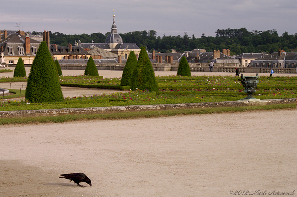 Fotografie afbeelding "Versailles" door Natali Antonovich | Archief/Foto Voorraad.