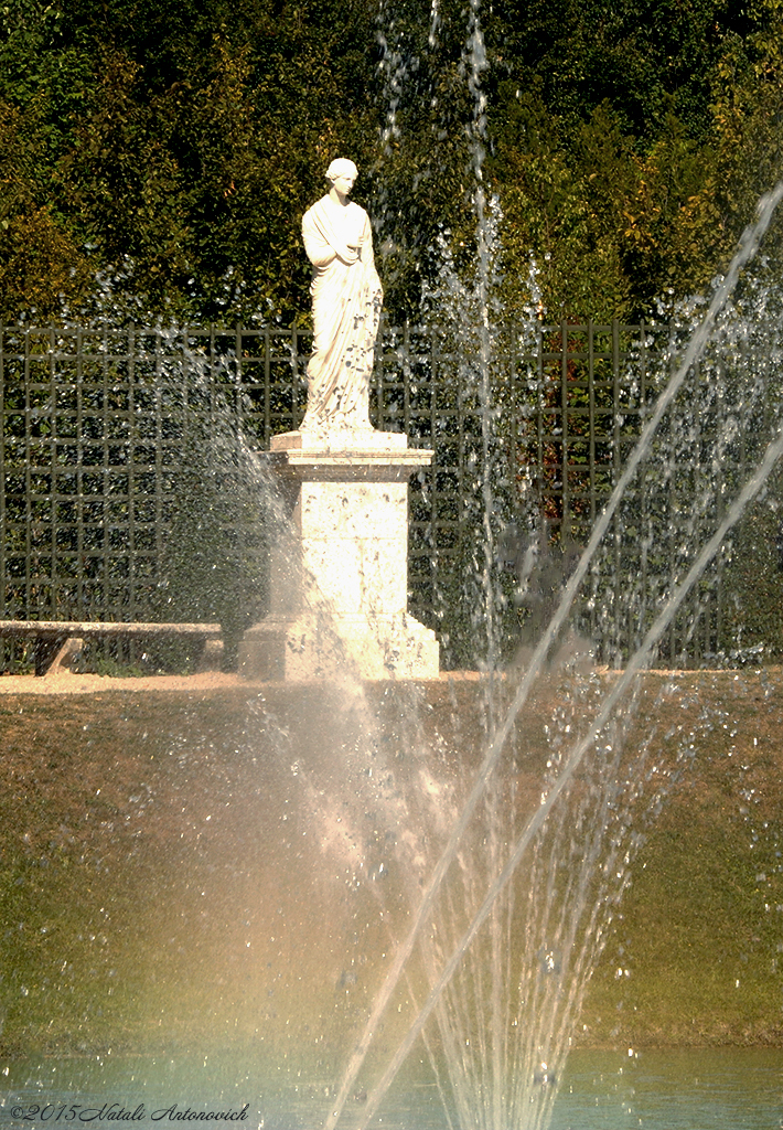 Album "Versailles" | Fotografiebild "Water Gravitation" von Natali Antonovich im Sammlung/Foto Lager.