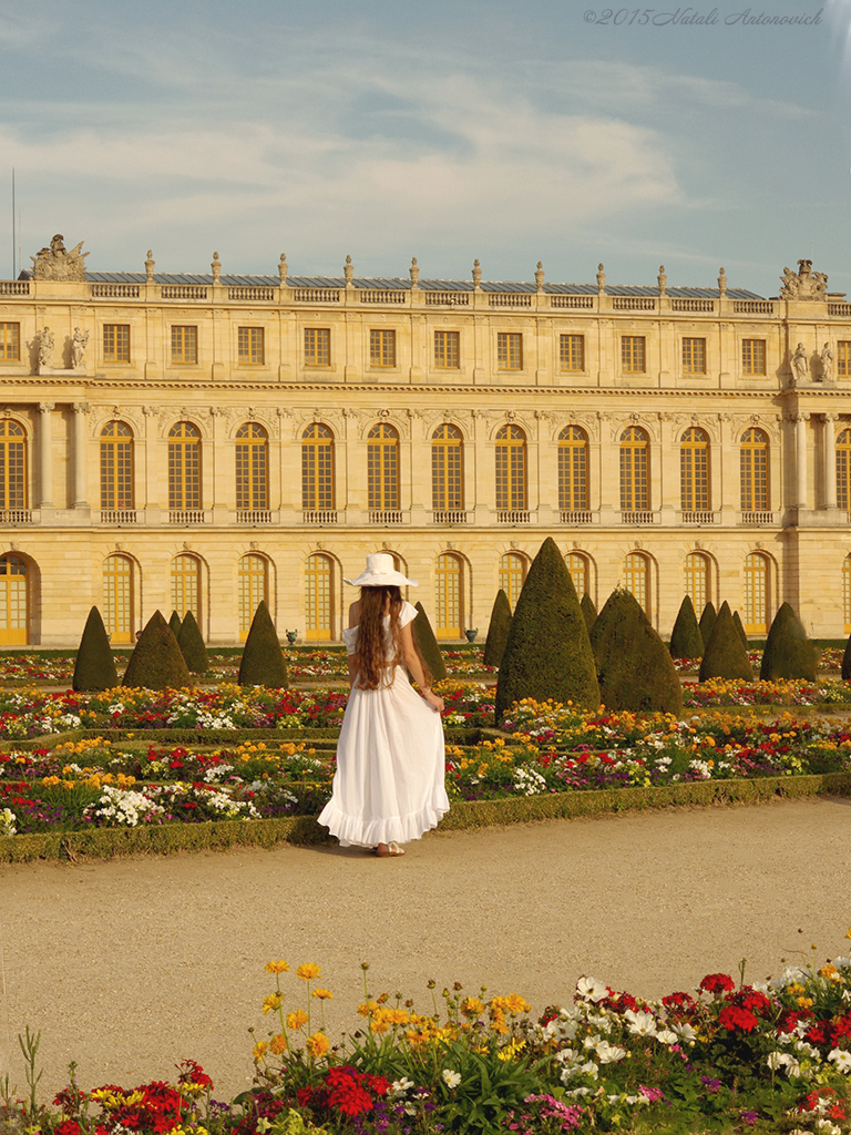 Album "Versailles" | Fotografiebild "Blumen" von Natali Antonovich im Sammlung/Foto Lager.