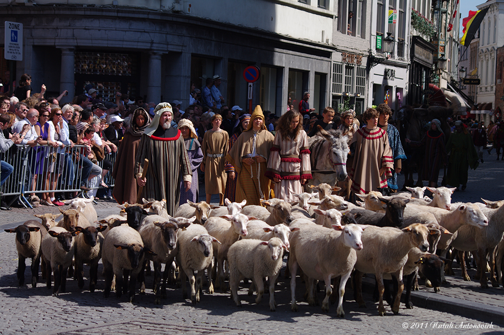 Album "Afbeelding zonder titel" | Fotografie afbeelding " Brugge" door Natali Antonovich in Archief/Foto Voorraad.