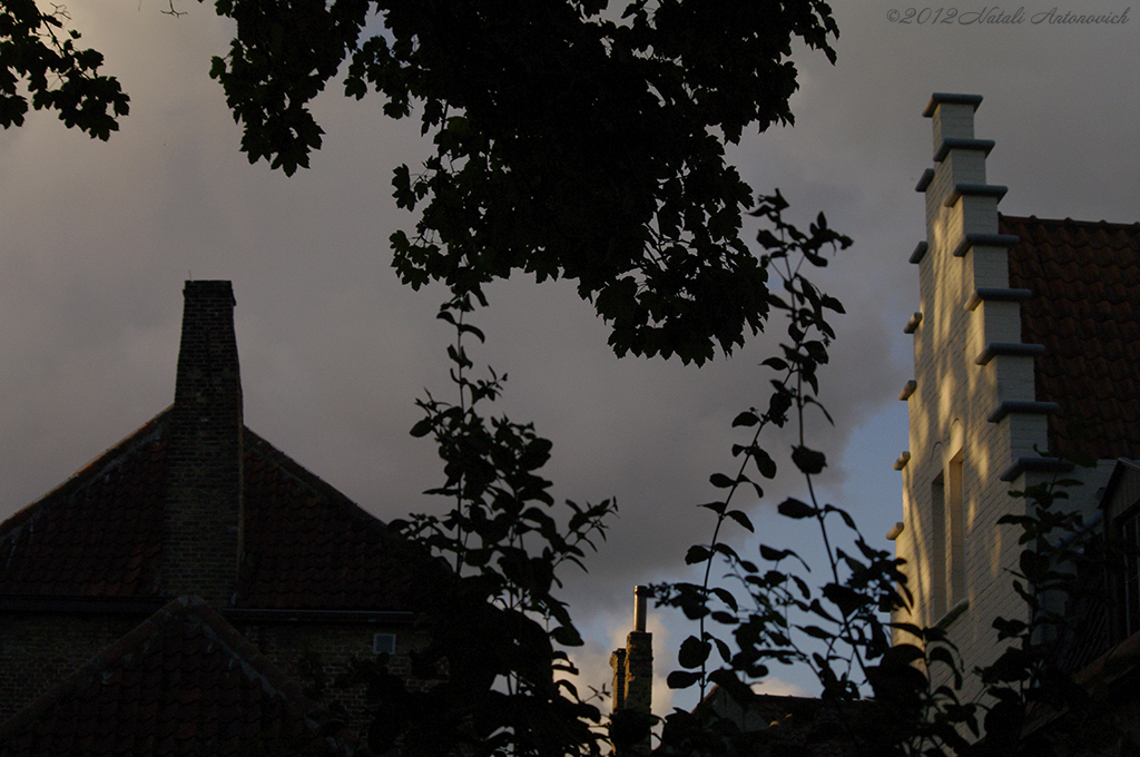 Album "Afbeelding zonder titel" | Fotografie afbeelding " Brugge" door Natali Antonovich in Archief/Foto Voorraad.