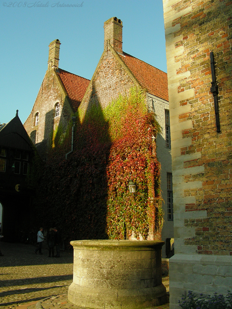 Album "Image sans titre" | Image de photographie " Bruges" de Natali Antonovich en photostock.