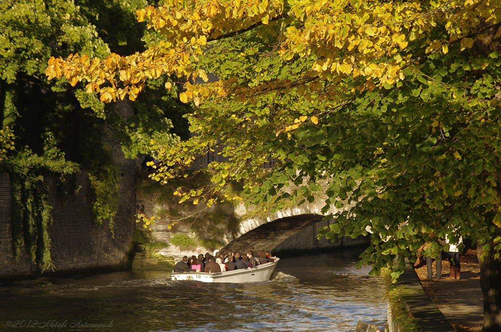 Album "Bild ohne Titel" | Fotografiebild "Herbst" von Natali Antonovich im Sammlung/Foto Lager.