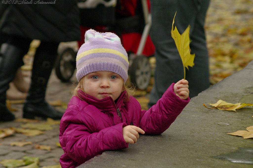 Album  "Image without title" | Photography image "Belgium" by Natali Antonovich in Photostock.