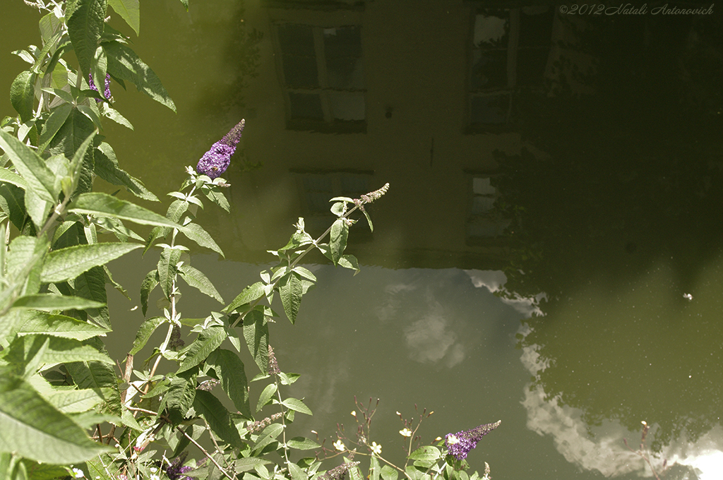 Album "Bild ohne Titel" | Fotografiebild "Parallelen" von Natali Antonovich im Sammlung/Foto Lager.