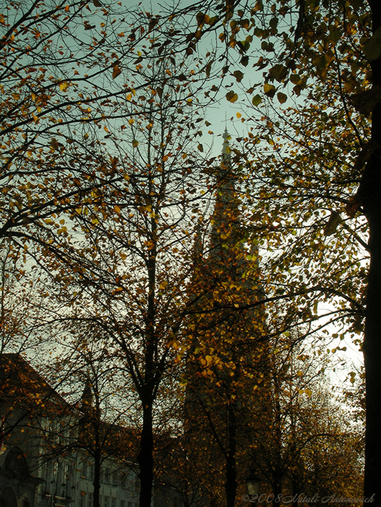 Альбом "Изображение без названия" | Фотография " Осень" от Натали Антонович в Архиве/Банке Фотографий