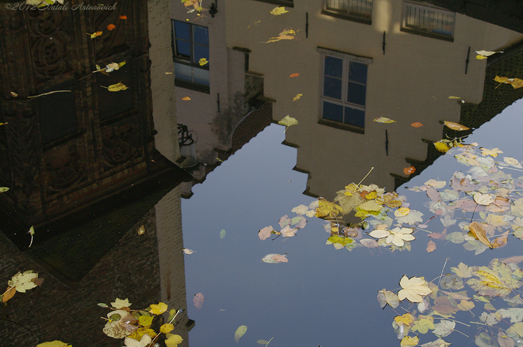 Album "Bild ohne Titel" | Fotografiebild "Herbst" von Natali Antonovich im Sammlung/Foto Lager.