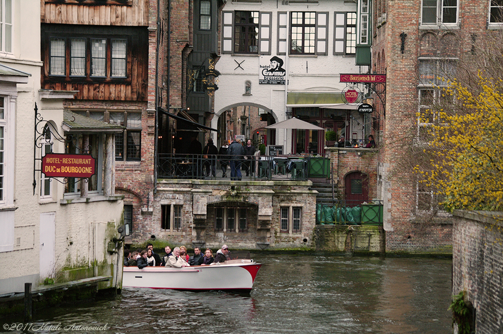 Album "Afbeelding zonder titel" | Fotografie afbeelding " Brugge" door Natali Antonovich in Archief/Foto Voorraad.