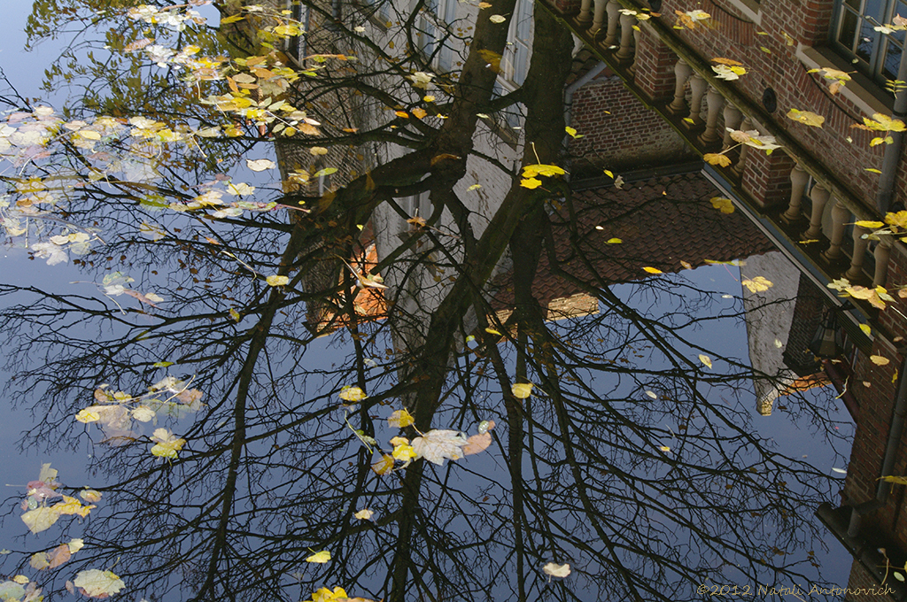 Альбом "Изображение без названия" | Фотография " Осень" от Натали Антонович в Архиве/Банке Фотографий