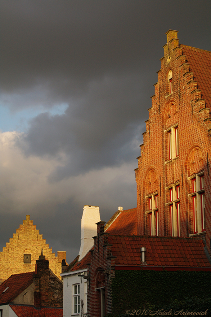 Album "Afbeelding zonder titel" | Fotografie afbeelding " Brugge" door Natali Antonovich in Archief/Foto Voorraad.