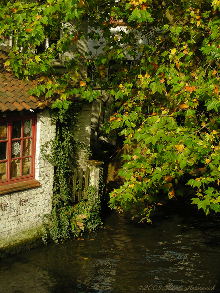 Album "Afbeelding zonder titel" | Fotografie afbeelding " Brugge" door Natali Antonovich in Archief/Foto Voorraad.