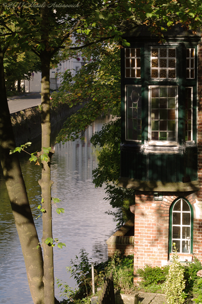 Album "Afbeelding zonder titel" | Fotografie afbeelding " Brugge" door Natali Antonovich in Archief/Foto Voorraad.