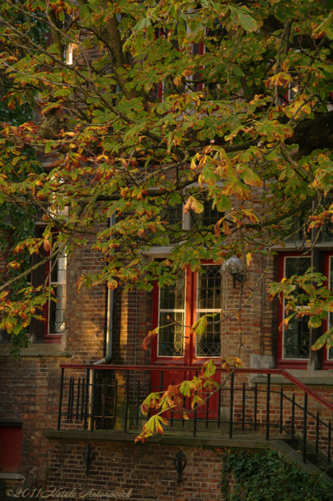 Album "Image sans titre" | Image de photographie " Bruges" de Natali Antonovich en photostock.