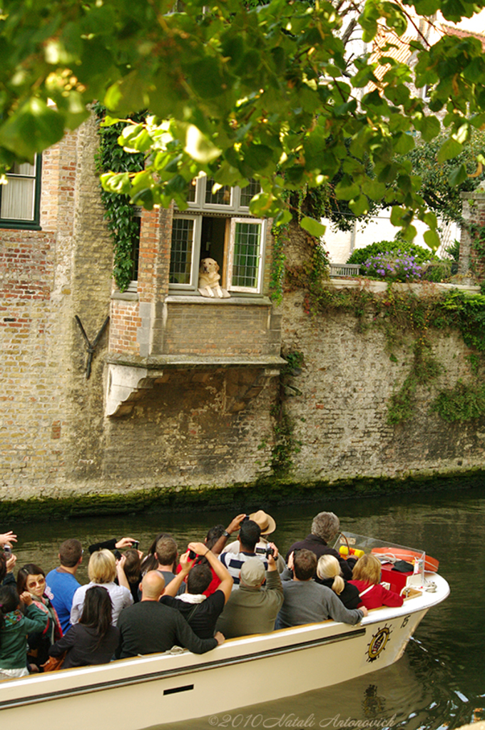 Album "Image sans titre" | Image de photographie " Bruges" de Natali Antonovich en photostock.