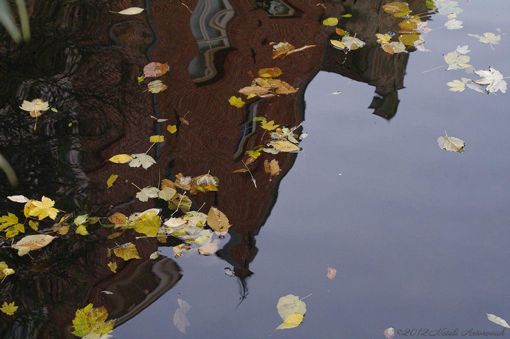 Album "Bild ohne Titel" | Fotografiebild "Water Gravitation" von Natali Antonovich im Sammlung/Foto Lager.