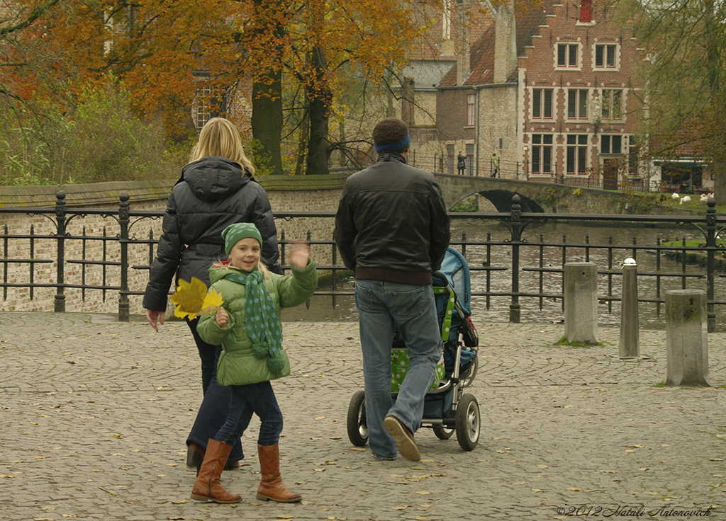 Album "Afbeelding zonder titel" | Fotografie afbeelding " Brugge" door Natali Antonovich in Archief/Foto Voorraad.