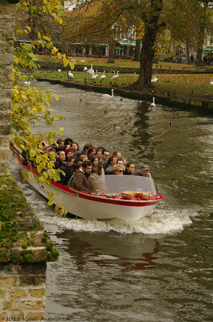 Album "Afbeelding zonder titel" | Fotografie afbeelding " Brugge" door Natali Antonovich in Archief/Foto Voorraad.