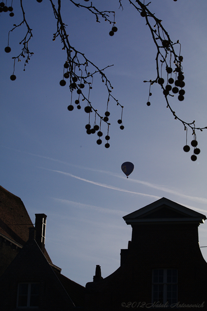 Album "Afbeelding zonder titel" | Fotografie afbeelding " Brugge" door Natali Antonovich in Archief/Foto Voorraad.