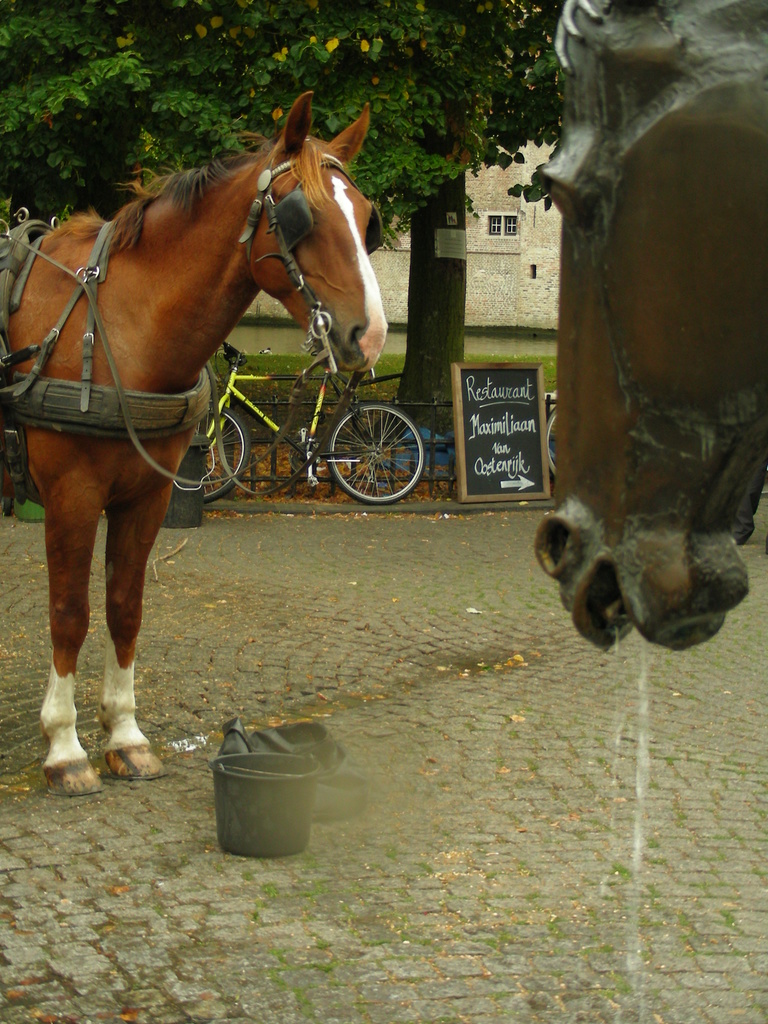 Album "Image sans titre" | Image de photographie " Bruges" de Natali Antonovich en photostock.