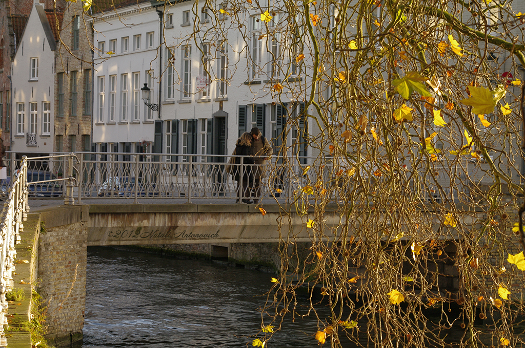 Album "Bild ohne Titel" | Fotografiebild "Herbst" von Natali Antonovich im Sammlung/Foto Lager.