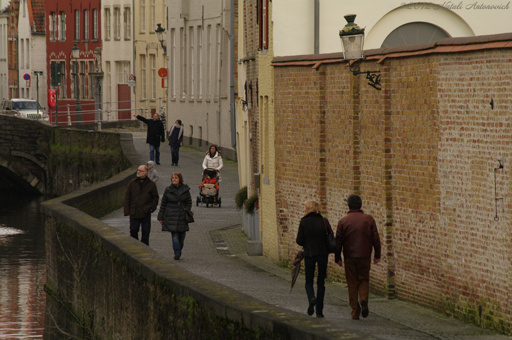 Album  "Image without title" | Photography image " Bruges" by Natali Antonovich in Photostock.