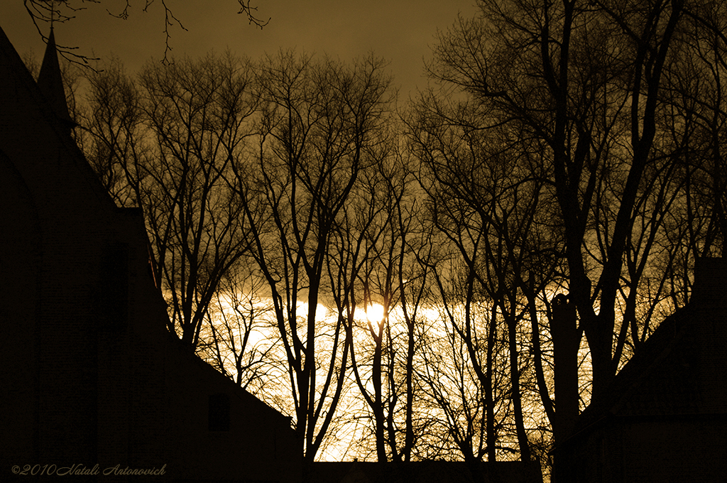 Album "Afbeelding zonder titel" | Fotografie afbeelding " Brugge" door Natali Antonovich in Archief/Foto Voorraad.