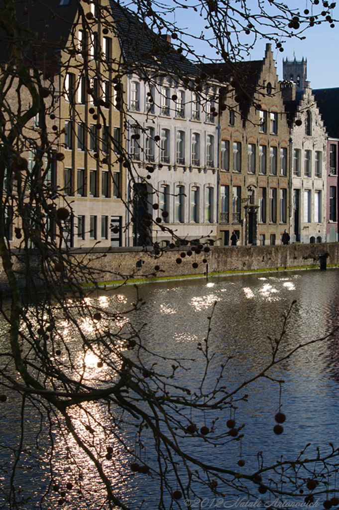 Album "Afbeelding zonder titel" | Fotografie afbeelding " Brugge" door Natali Antonovich in Archief/Foto Voorraad.